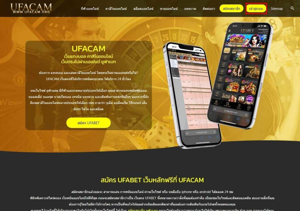 หน้าเว็บไซต์ UFACAM